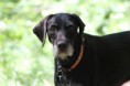 /album/betty-od-kafika-agata/img-2566-jpg/